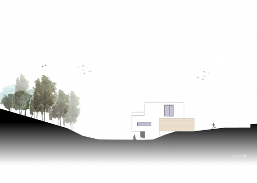 Elevation