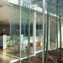 Sugamo Shinkin Bank, Ekoda Branch / Emmanuelle Moureaux Architecture + Design © Daisuke Shima