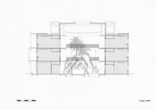 Section