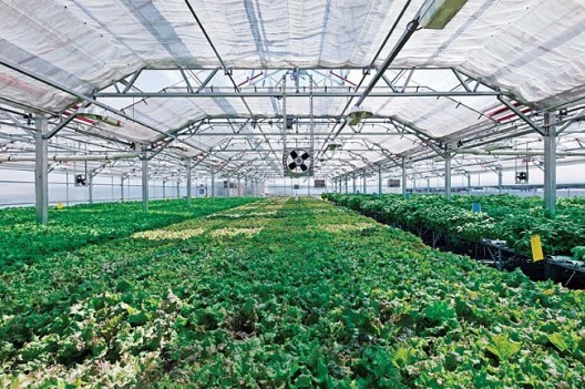 via Organic Connections