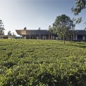 House in a Tea Garden / RMA Architects © Rajesh Vora