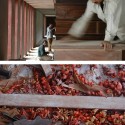 House in a Tea Garden / RMA Architects © Rajesh Vora