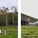 House in a Tea Garden / RMA Architects © RMA Architects