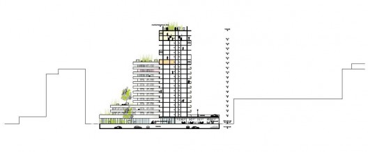 section