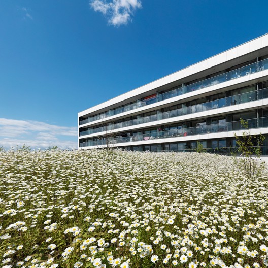 Courtesy of ZZDP Architecten