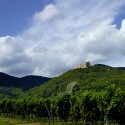 Hambach Castle / Max Dudler © Stefan Müller