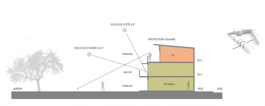 Section