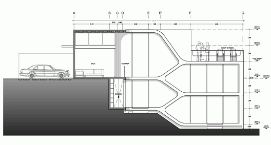 Longitudinal Section 1