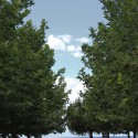 Redevelopment of the New Coast of Thessaloniki / Prodromos Nikiforidis - Bernard Cuomo Courtesy of Prodromos Nikiforidis - Bernard Cuomo