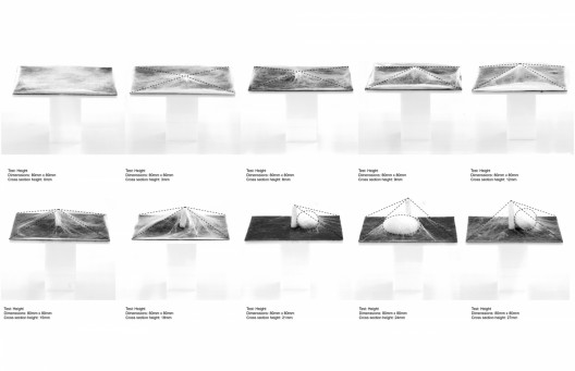 Experiment to examine the silkworms' interaction with space © Carlos David Gonzales Uribe