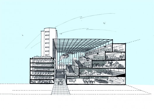 section perspective