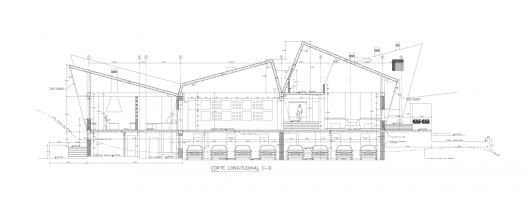 Longitudinal Section