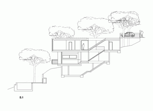 Section