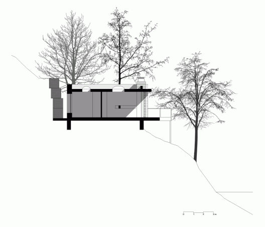 Section