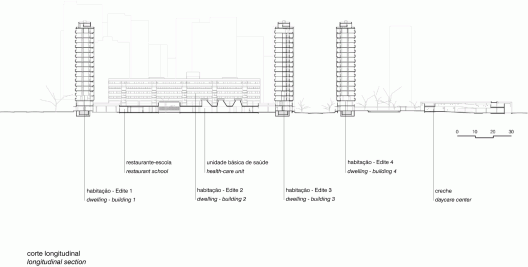 Longitudinal Section
