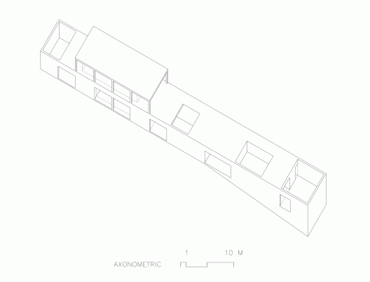 Axon