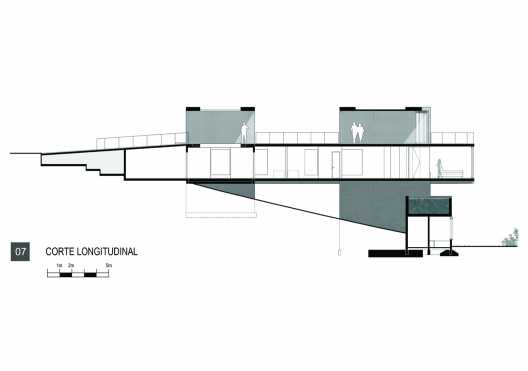 Longitudinal Section