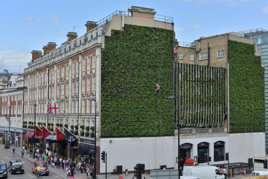 Courtesy of Green Roof Consultancy and Treebox