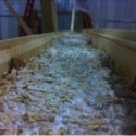 Finalists Create Next Generation of Sustainable Building Products Finalists Create Next Generation of Sustainable Building Products Mushroom Insulation. Image Courtesy of Ecovative via Cradle to Cradle