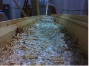 Mushroom Insulation. Image Courtesy of Ecovative via Cradle to Cradle