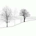 Tree Snake Houses / Luís Rebelo de Andrade + Tiago Rebelo de Andrade Tree Snake Houses / Luís Rebelo de Andrade + Tiago Rebelo de Andrade Elevation