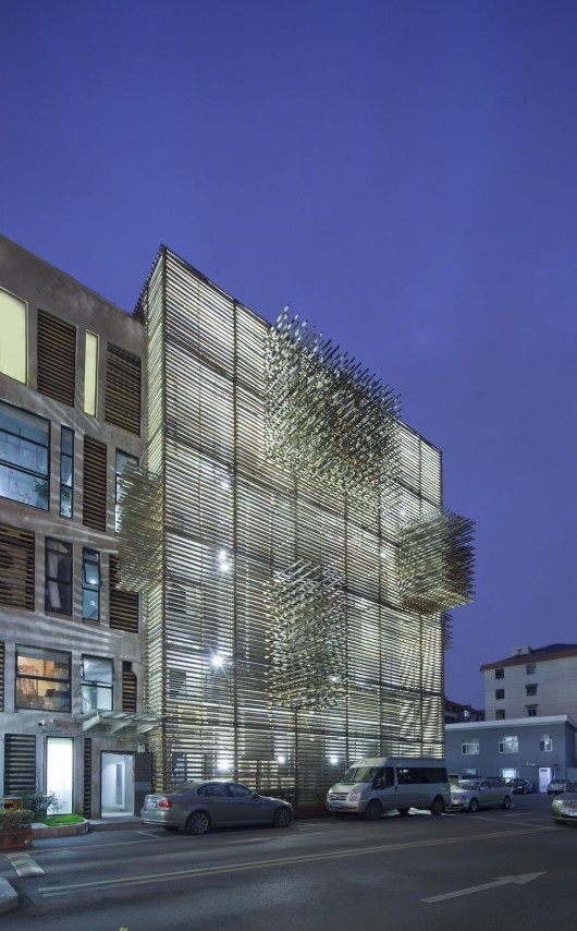 © Shen Qiang & Daniele Mattioli