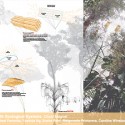 Winners of d3 Natural Systems 2013 Competition Announced Courtesy of d3