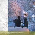 Winners of d3 Natural Systems 2013 Competition Announced Courtesy of d3