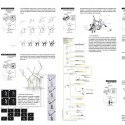 Winners of d3 Natural Systems 2013 Competition Announced Courtesy of d3