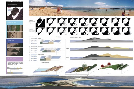 Pregnating Barrier Island. Image Courtesy of ONE Prize