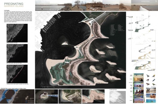 Pregnating Barrier Island. Image Courtesy of ONE Prize