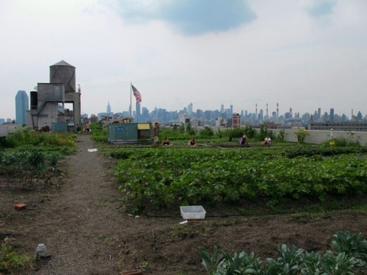 Brooklyn Grange Rooftop Farm. Image Courtesy of Arup Connect
