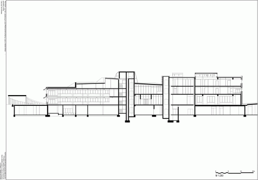 Longitudinal Section 1