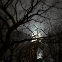 AD Classics: Woolworth Building / Cass Gilbert AD Classics: Woolworth Building / Cass Gilbert Night view through trees. Image © Aaron Sylvan