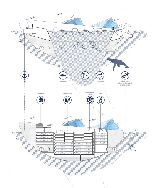 Section. Image Courtesy of Design Team