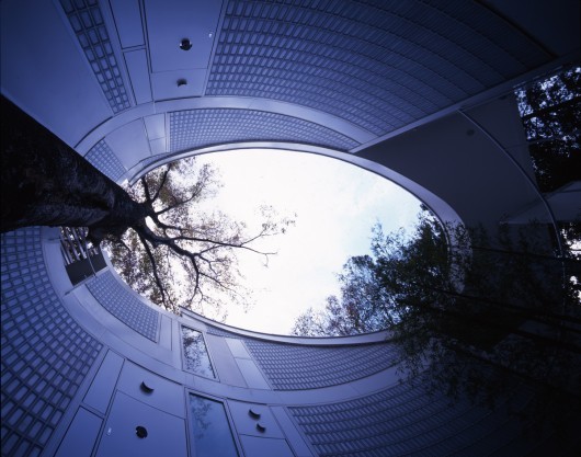 Shigeru Ban’s Tokyo house, built in 2007. Ban ensured that not one tree would be pulled down for its construction. Image © Hiroyuki Hirai