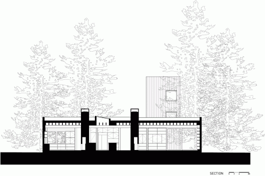 Section