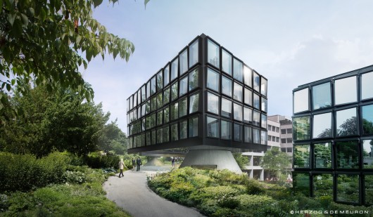 © Herzog & de Meuron