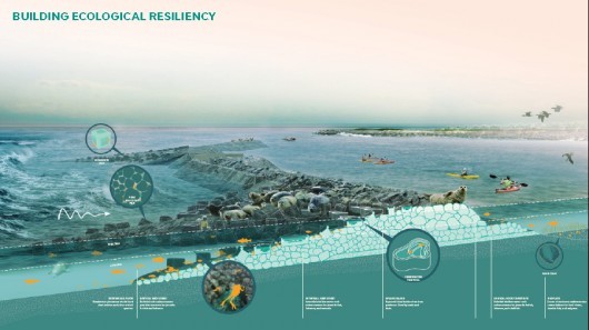 Living, Growing Breakwaters: Staten Island and Raritan Bay, by SCAPE / Landscape Architecture. Image Courtesy of rebuildbydesign.org