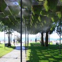 Move Over, Green Walls: Living Canopy Comes to West Vancouver Courtesy of Matthew Soules Architecture