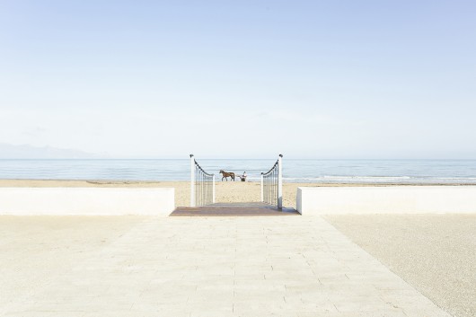 © Mauro Filippi
