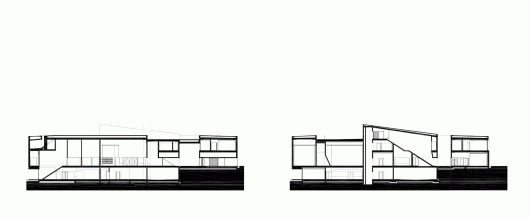 section
