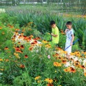 Minghu Wetland Park / Turenscape Minghu Wetland Park / Turenscape Courtesy of Turenscape