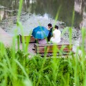 Minghu Wetland Park / Turenscape Minghu Wetland Park / Turenscape Courtesy of Turenscape