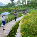 Minghu Wetland Park / Turenscape Minghu Wetland Park / Turenscape Courtesy of Turenscape