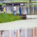 Minghu Wetland Park / Turenscape Minghu Wetland Park / Turenscape Courtesy of Turenscape