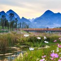 Minghu Wetland Park / Turenscape Minghu Wetland Park / Turenscape Courtesy of Turenscape
