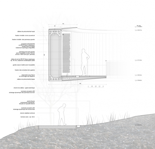 Section