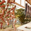 Nest We Grow  / College of Environmental Design UC Berkeley  + Kengo Kuma & Associates © Shinkenchiku-sha