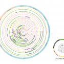 Nest We Grow  / College of Environmental Design UC Berkeley  + Kengo Kuma & Associates Diagram 9